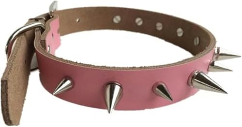 Hundehalsband mit Nieten, klein und groß, mit Spikes, Nieten-Zubehör, Halsband für Welpen, Halskette aus Leder, PU, Heimtierbedarf, Pink, M-Pink-M Hundehalsband mit Nieten, klein und groß, mit Spikes, Nieten-Zubehör, Halsband für Welpen, Halskette aus Leder, PU, Heimtierbedarf, Pink, M-Pink-M von JKDSAO