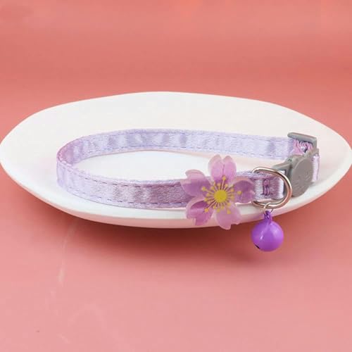 Leuchtende Halsbänder für Haustiere mit Glöckchen, die nachts leuchten, Halskette für Hunde und Katzen, leuchtendes Hals-Accessoire-15 von JKDSAO