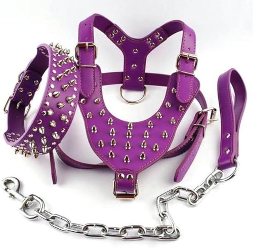Lila verstellbares Cooles Hundegeschirr mit Nieten und Lederleine, Set für große Hunde der Größen ML XL, Lila, XL-Standard Lila verstellbares Cooles Hundegeschirr mit Nieten und Lederleine, Set für große Hunde der Größen ML XL, Lila, XL-Standard von JKDSAO