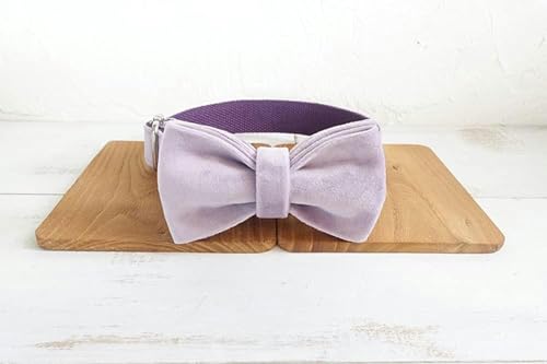 Personalisiertes Hundehalsband aus rosa und lila Samt mit Fliege, Set aus Nylon für kleine, mittelgroße und große Hunde, Halsbandfliege, XL-Halsbandfliege-M Personalisiertes Hundehalsband aus rosa und lila Samt mit Fliege, Set aus Nylon für kleine, mittelgroße und große Hunde, Halsbandfliege, XL-Halsbandfliege-M von JKDSAO