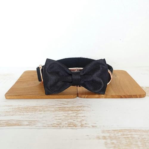 Personalisiertes Hundehalsband mit Leine, verstellbar, Welpenhalsband mit Namensschild, 5 Größen, Halsband mit Fliege, S-Hundehalsband mit Fliege, XL Personalisiertes Hundehalsband mit Leine, verstellbar, Welpenhalsband mit Namensschild, 5 Größen, Halsband mit Fliege, S-Hundehalsband mit Fliege, XL von JKDSAO