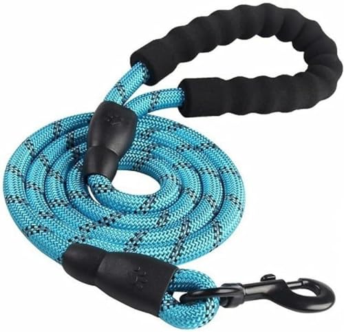 Reflektierendes Seil für große Hunde, große Hundeleine, zum Spazierengehen, Halsband für große Hunde, Verstärkungsgeschirr, rundes Nylon, mittelgroßer Hund, Hellblau, 1,2 cm x 200 cm Reflektierendes Seil für große Hunde, große Hundeleine, zum Spazierengehen, Halsband für große Hunde, Verstärkungsgeschirr, rundes Nylon, mittelgroßer Hund, Hellblau, 1,2 cm x 200 cm von JKDSAO