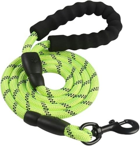 Reflektierendes Seil für große Hunde, große Hundeleine, zum Spazierengehen, Halsband für große Hunde, verstärktes Geschirr, rundes Nylon, mittelgroßer Hund, grün, 1,2 cm x 200 cm Reflektierendes Seil für große Hunde, große Hundeleine, zum Spazierengehen, Halsband für große Hunde, verstärktes Geschirr, rundes Nylon, mittelgroßer Hund, grün, 1,2 cm x 200 cm von JKDSAO