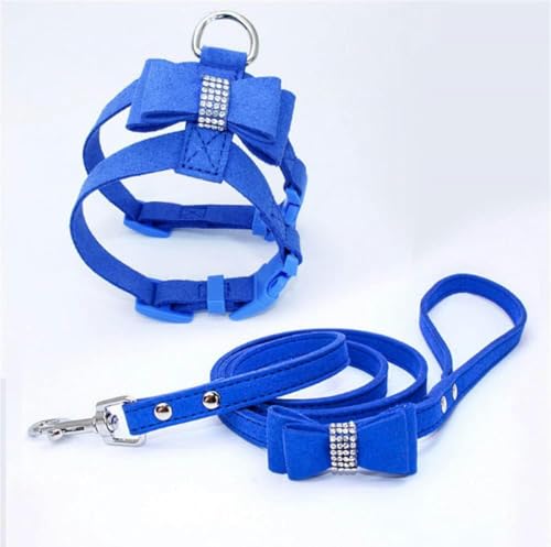 Verstellbarer Brustgurt für Haustiere mit Bohrschleife, Katzenleine, Seilset, Halsband für kleine Hunde, Brust- und Rückengurt für kleine Hunde, Zubehör für kleine Hunde, Blau, M Verstellbarer Brustgurt für Haustiere mit Bohrschleife, Katzenleine, Seilset, Halsband für kleine Hunde, Brust- und Rückengurt für kleine Hunde, Zubehör für kleine Hunde, Blau, M von JKDSAO