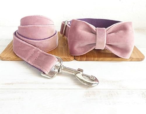 Verstellbares Hundehalsband, Haustierprodukte, 5 Größen, Metallschnalle, doppeltes Stoff-Hundehalsband und Leine, Hundehalsband-Leinen-Set, L-Halsband mit Fliege, Leine-L Verstellbares Hundehalsband, Haustierprodukte, 5 Größen, Metallschnalle, doppeltes Stoff-Hundehalsband und Leine, Hundehalsband-Leinen-Set, L-Halsband mit Fliege, Leine-L von JKDSAO