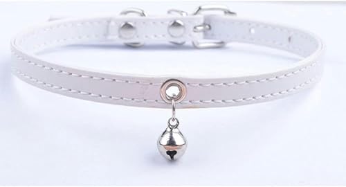 Welpenhalsband für kleine Hunde, verstellbares Haustierhalsband mit Glöckchen, für kleine und mittelgroße Katzen, Größe XXS, XS, S, Lila, Schwarz, Weiß, Rosa, Weiß, 37 cm Welpenhalsband für kleine Hunde, verstellbares Haustierhalsband mit Glöckchen, für kleine und mittelgroße Katzen, Größe XXS, XS, S, Lila, Schwarz, Weiß, Rosa, Weiß, 37 cm von JKDSAO