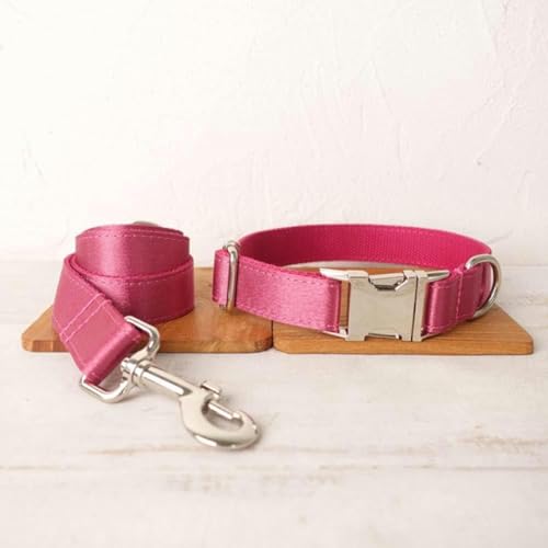 personalisiertes Hundehalsband mit Leine, verstellbar, Welpenhalsband mit Namensschild, 5 Größen-Hundehalsband-Leine-Set-L personalisiertes Hundehalsband mit Leine, verstellbar, Welpenhalsband mit Namensschild, 5 Größen-Hundehalsband-Leine-Set-L von JKDSAO