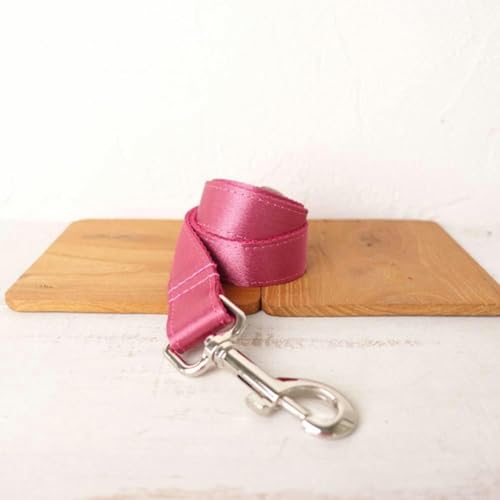 personalisiertes Hundehalsband mit Leine, verstellbar, Welpenhalsband mit Namensschild, 5 Größen-Hundeleine-L personalisiertes Hundehalsband mit Leine, verstellbar, Welpenhalsband mit Namensschild, 5 Größen-Hundeleine-L von JKDSAO