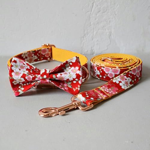 personalisiertes Hundehalsband mit Schleife, Haustierleine, Halloween-Halskette mit Fliege für kleine mittelgroße Hunde-Halsband mit Schleife, Leine, Set-M personalisiertes Hundehalsband mit Schleife, Haustierleine, Halloween-Halskette mit Fliege für kleine mittelgroße Hunde-Halsband mit Schleife, Leine, Set-M von JKDSAO