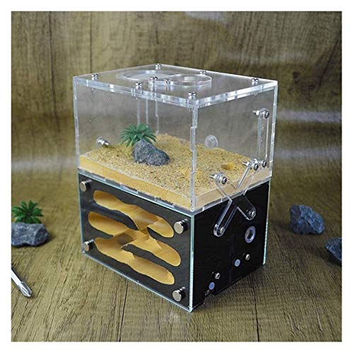 JKFZD Transparentes Ameisennest Acryl Ant Workshop Bauernhof Ant Portable Cave Display Box Educational Formicarium Habitat (Color : Clear, Size : 12x9x15cm) von JKFZD