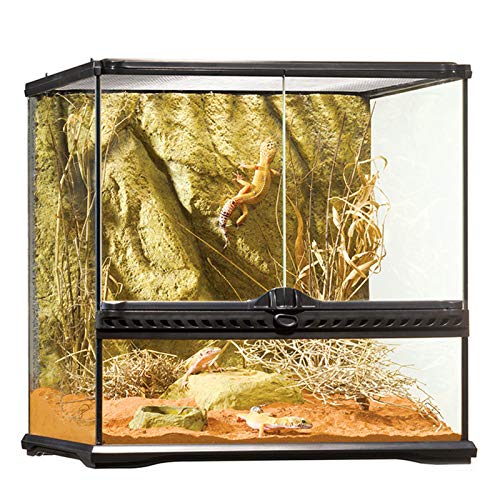 JKGHK Terrarien Naturglas Terrarium Reptilienglas mit Bildschirmlüftungskäfigen Terrarium, groß,45x45x45cm von JKGHK
