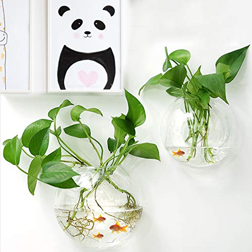 JKIOHO Wandbehang für Aquarien, montiertes Fischglas, Betta-Tanks, Hängepflanze, Pflanzenvase, Heimdekoration, 2 Stück von JKIOHO