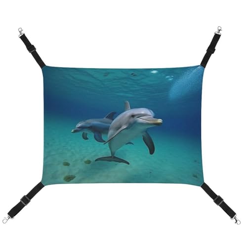 JKLQWH Katzen-Hängematte, mit Delfinen, Unterwasser-Druck, waschbar, weiche Outdoor-Katzenmatte, Haustier-Hängematte, Bett, verstellbar, mit verstellbaren Riemen und Metallhaken, für Katzen, kleine JKLQWH Katzen-Hängematte, mit Delfinen, Unterwasser-Druck, waschbar, weiche Outdoor-Katzenmatte, Haustier-Hängematte, Bett, verstellbar, mit verstellbaren Riemen und Metallhaken, für Katzen, kleine von JKLQWH