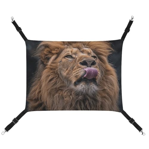 JKLQWH Katzen-Hängematte, mit Löwenstöcken, bedruckt, waschbar, weich, für den Außenbereich, Haustier-Hängematte, Bett, verstellbar, mit verstellbaren Riemen und Metallhaken, für Katzen, kleine Hunde, JKLQWH Katzen-Hängematte, mit Löwenstöcken, bedruckt, waschbar, weich, für den Außenbereich, Haustier-Hängematte, Bett, verstellbar, mit verstellbaren Riemen und Metallhaken, für Katzen, kleine Hunde, von JKLQWH