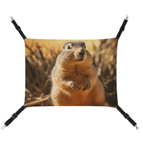 JKLQWH Katzen-Hängematte, mit handgezeichnetem Murmeltier-Druck, waschbar, weiche Outdoor-Katzenmatte, Haustier-Hängematte, Bett, verstellbar, mit verstellbaren Riemen und Metallhaken, für Katzen, JKLQWH Katzen-Hängematte, mit handgezeichnetem Murmeltier-Druck, waschbar, weiche Outdoor-Katzenmatte, Haustier-Hängematte, Bett, verstellbar, mit verstellbaren Riemen und Metallhaken, für Katzen, von JKLQWH
