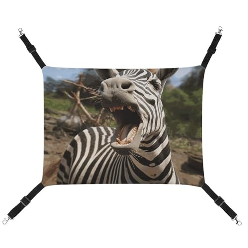 JKLQWH Katzen-Hängematte, mit lustigem Zebra-Druck, waschbar, weich, Outdoor-Katzenmatte, Haustier-Hängematte, Bett, verstellbar, mit verstellbaren Riemen und Metallhaken, für Katzen, kleine Hunde, JKLQWH Katzen-Hängematte, mit lustigem Zebra-Druck, waschbar, weich, Outdoor-Katzenmatte, Haustier-Hängematte, Bett, verstellbar, mit verstellbaren Riemen und Metallhaken, für Katzen, kleine Hunde, von JKLQWH