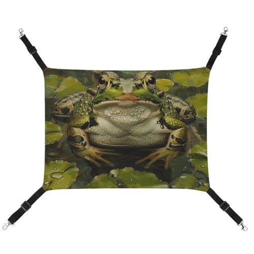 JKLQWH Katzenhängematte, mit Lilie und Frosch bedruckt, waschbar, weich, für den Außenbereich, Haustier-Hängematte, Bett, verstellbar, mit verstellbaren Riemen und Metallhaken, für Katzen, kleine JKLQWH Katzenhängematte, mit Lilie und Frosch bedruckt, waschbar, weich, für den Außenbereich, Haustier-Hängematte, Bett, verstellbar, mit verstellbaren Riemen und Metallhaken, für Katzen, kleine von JKLQWH