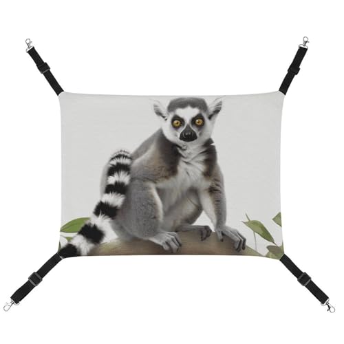 JKLQWH Katzenhängematte, mit Schwanz, Lemur-Druck, waschbar, weich, für den Außenbereich, Haustier-Hängematte, Bett, verstellbar, mit verstellbaren Riemen und Metallhaken, für Katzen, kleine Hunde, JKLQWH Katzenhängematte, mit Schwanz, Lemur-Druck, waschbar, weich, für den Außenbereich, Haustier-Hängematte, Bett, verstellbar, mit verstellbaren Riemen und Metallhaken, für Katzen, kleine Hunde, von JKLQWH