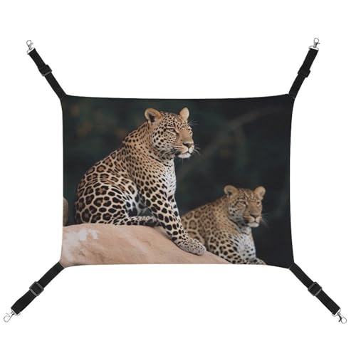 JKLQWH Katzenhängematte, mit afrikanischem Leopard auf Felsen, waschbar, weiche Outdoor-Katzenmatte, Haustier-Hängematte, Bett, verstellbar, mit verstellbaren Riemen und Metallhaken, für Katzen, JKLQWH Katzenhängematte, mit afrikanischem Leopard auf Felsen, waschbar, weiche Outdoor-Katzenmatte, Haustier-Hängematte, Bett, verstellbar, mit verstellbaren Riemen und Metallhaken, für Katzen, von JKLQWH