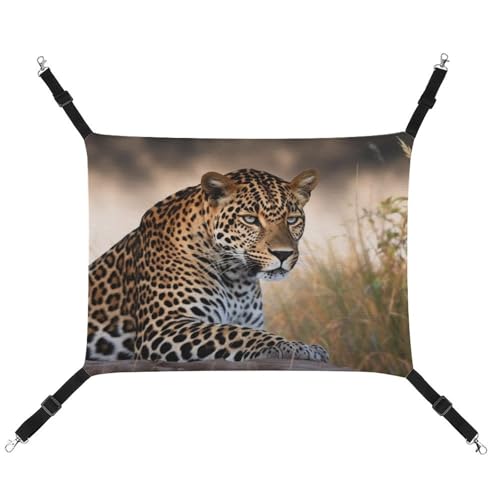 JKLQWH Katzenhängematte, mit afrikanischem Tier-Leopardenmuster, waschbar, weiche Outdoor-Katzenmatte, Haustier-Hängematte, Bett, verstellbar, mit verstellbaren Riemen und Metallhaken, für Katzen, JKLQWH Katzenhängematte, mit afrikanischem Tier-Leopardenmuster, waschbar, weiche Outdoor-Katzenmatte, Haustier-Hängematte, Bett, verstellbar, mit verstellbaren Riemen und Metallhaken, für Katzen, von JKLQWH