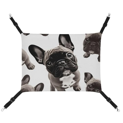 JKLQWH Katzenhängematte, mit französischer Bulldogge, waschbar, weich, für den Außenbereich, Haustier-Hängematte, verstellbar, mit verstellbaren Riemen und Metallhaken, für Katzen, kleine Hunde, JKLQWH Katzenhängematte, mit französischer Bulldogge, waschbar, weich, für den Außenbereich, Haustier-Hängematte, verstellbar, mit verstellbaren Riemen und Metallhaken, für Katzen, kleine Hunde, von JKLQWH
