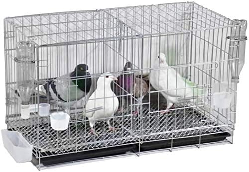 Professioneller Vogelkäfig, Haustierbedarf, Vogelträger, Gartendekoration, Sittichkäfige für 1 Vogel, kleiner Eisen-Vogelkäfig, Papageienkäfig, Papageienliebe, Vogel, Eichhörnchenkäfig, 5 Arten von Professioneller Vogelkäfig, Haustierbedarf, Vogelträger, Gartendekoration, Sittichkäfige für 1 Vogel, kleiner Eisen-Vogelkäfig, Papageienkäfig, Papageienliebe, Vogel, Eichhörnchenkäfig, 5 Arten von von JKSVTF