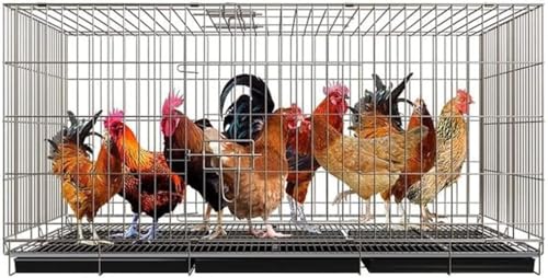 Profi Hühner Entenkäfig Kaninchenstall Geflügel Lebensraum Hühnerkäfig Extra Großer Zuchtkäfig Haushalt Haushalt Hühnerstall Geeignet für Hühner, Enten, Gänse und Hunde W/Tablett Mobile Pulle von JKSVTF