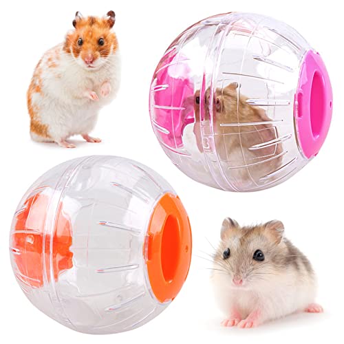 JLNGTHONG Hamster Gymnastikball, Hamster Spielzeug Laufkugel Rolle Kugel(2 Stück) von JLNGTHONG