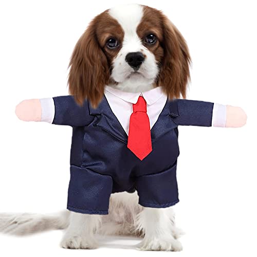 Formelle Kleidung für Hund,Tragbarer Haustier Anzug Fliege Kostüm Hund Hochzeit Hemd Formelle Smoking - Hund Brautkleid Teddy Pudel Hund Kleid Jmedic von JMEDIC
