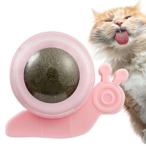 JMEDIC Wandball für Katzen | Wandkugel, essbar, Katze, selbstklebend, Wanddekoration, niedliche Katze von JMEDIC