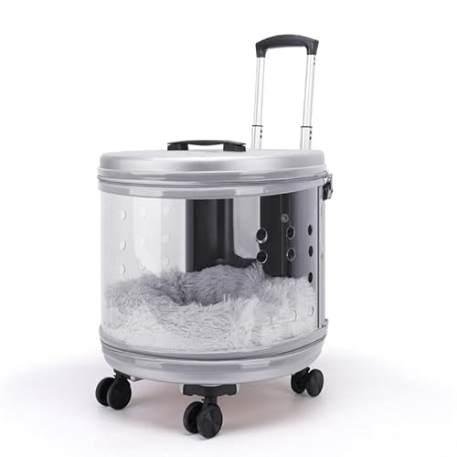 JMOZHCD Haustier-Katzenfach, Haustier-Trolley, transparente Katzentasche, multifunktionale Katze, Raumkapsel, Hund, Outdoor-Trolley (Sliver) von JMOZHCD