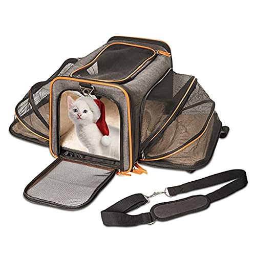 JMOZHCD Haustiertasche, 2 Seiten erweiterbar, großer Reiserucksack für Katzen, transparente Hartschalentasche, verstellbar, für Hunde, Katzen, Reisen, Wandern (D) von JMOZHCD