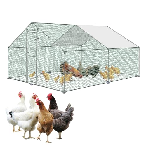 JNGLGO Freilaufgehege Hühnerstall aus Metall mit Schloss, PE-Dach, Hühnerhaus Tiergehege Freigehege für Hühner Kleintiere Kaninchen, 3x4x2m JNGLGO Freilaufgehege Hühnerstall aus Metall mit Schloss, PE-Dach, Hühnerhaus Tiergehege Freigehege für Hühner Kleintiere Kaninchen, 3x4x2m von JNGLGO
