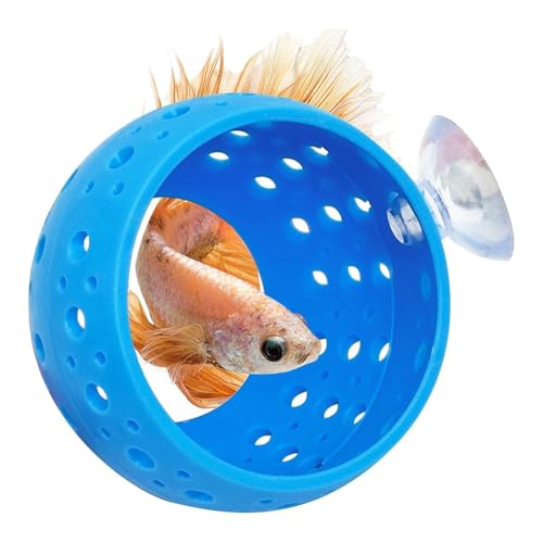 JNJOOD Aquarium Fisch Versteck Aquarium Fisch Versteck Höhle Aquarium Dekoration Fisch Behälter für Kleine Fische, Guppy Blau von JNJOOD