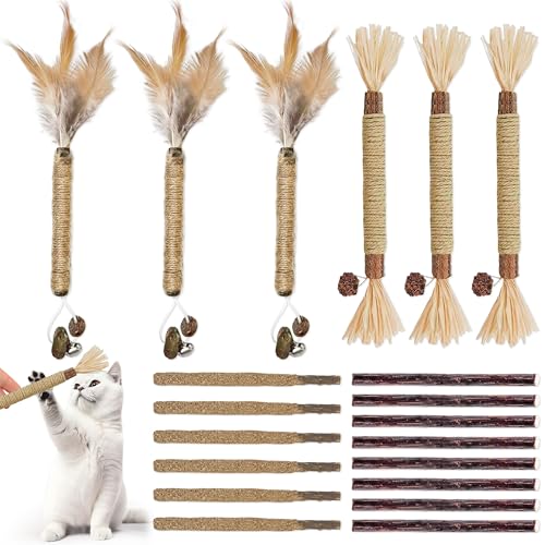 JNYUTEEN 20 Stück Katzenminze Sticks, 3 Stile Katzen Kauhölzer Sticks Katzenminze Spielzeug, Katzen Zahnpflege Spielzeug Katzenminze Stick für Katzen Zum Spielen von JNYUTEEN