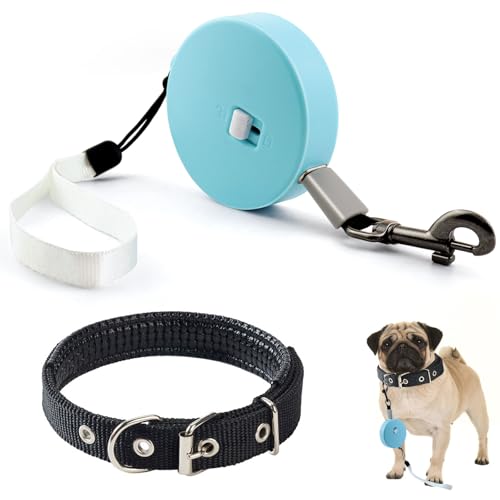 JNZLT 3m/3m/9.8ft katzenleine, flexileine rollleine Hundeleine Tragbar Anpassbar Automatische Dog Leash für Kleine Hunde, Katzen, Welpen, Kaninchen bis zu 5 kg(Blau) von JNZLT