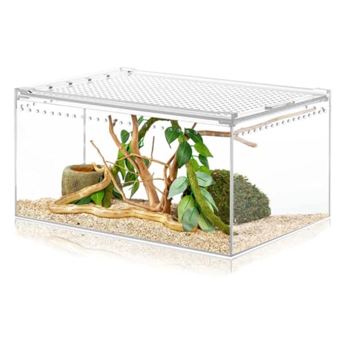 JOBEDE Kleines Reptiliengehege aus Acryl, keine Montage, kleine Reptilien-Zuchtbox für Insekten, Vogelspinne, Einsiedlerkrabbe, springende Spinne (20,3 x 15,2 x 10, JOBEDE Kleines Reptiliengehege aus Acryl, keine Montage, kleine Reptilien-Zuchtbox für Insekten, Vogelspinne, Einsiedlerkrabbe, springende Spinne (20,3 x 15,2 x 10, von JOBEDE