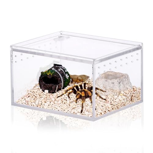 JOBEDE Springspinnengehege, integrierte Reptilien-Zuchtbox, magnetische Acryl-Reptilien-Zuchtbox für Skorpionschlinge, Isopoden, Eidechsen, Rotaugen, Wirbellose, Insekten-Mantis (4,1 x 3,3 x 6,3 cm) von JOBEDE