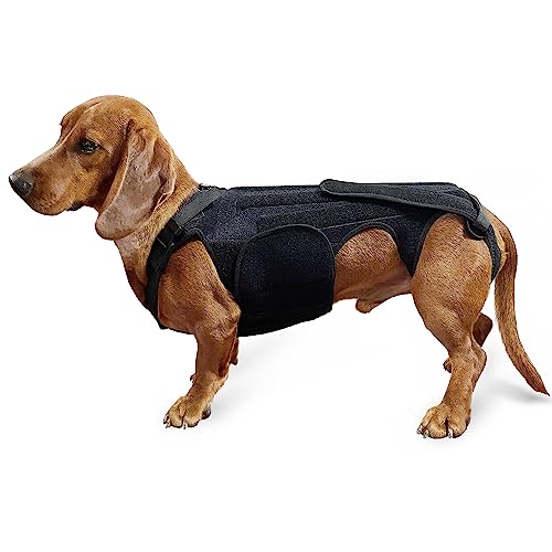 JOCUND Hunde-Rückenbandage, IVDD Rückenbandage für Hunde, Rückenbandage für Dackel-Bandscheibenerkrankungen, Arthritis, Wirbelsäulen-chirurgische Genesung, Bandscheibenvorfall (groß) von JOCUND