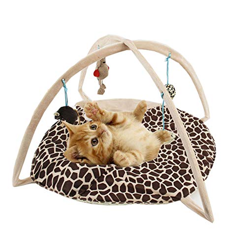 Katzenzelt Aktivitätszentrum mit hängenden Katzenspielzeugbällen, bestes Katzenbett Zelt Kätzchenmatte Haustierzubehör - Hilft Katzen, Bewegung zu bekommen und aktiv zu bleiben - Kaffee/36 (Farbe: von JOEBO