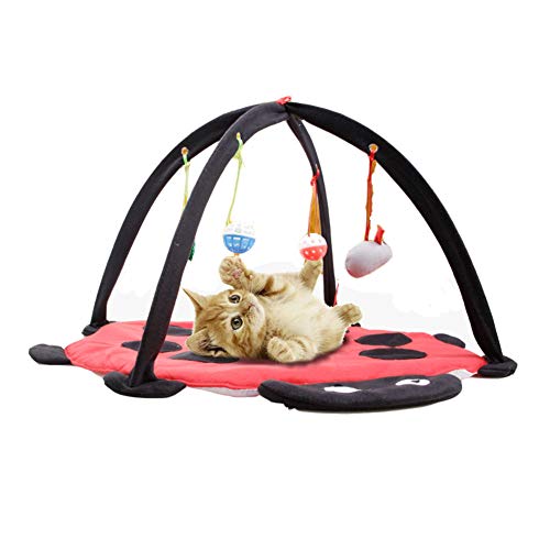 Katzenzelt Aktivitätszentrum mit hängenden Katzenspielzeugbällen, bestes Katzenbett Zelt Kätzchenmatte Haustierzubehör - Hilft Katzen, Bewegung zu bekommen und aktiv zu bleiben - Kaffee/36 (Farbe: von JOEBO