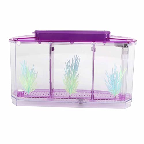 Mini-Zucht-Aquarium, transparentes Aquarium, LED-Acryl, drei Unterteilungen, Zuchtisolationsbox für kleine Fische, Lebensmittel, kleine Fische, Inkubator /752 (Farbe: Lila) von JOEBO