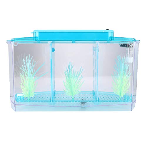 Mini-Zuchtfischtank, transparentes Aquarium, LED-Acryl, drei Unterteilungen, Zuchtisolationsbox für kleine Fische, Lebensmittel, kleine Fische, Inkubator /752 (Farbe: Blau) von JOEBO