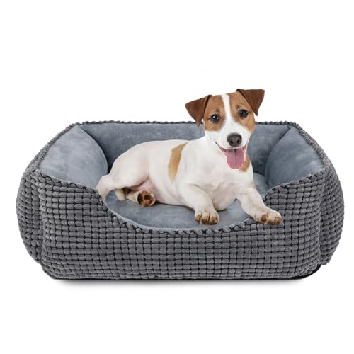 JOEJOY Hundebett Mittelgroße Hunde, Hundebett Waschbar Flauschig Hundekorb, rutschfeste Hundekörbchen, Plüsch Hundebetten, 63x53x20cm, Hundebett für Kleine und Mittlere Hunde und Katzen JOEJOY Hundebett Mittelgroße Hunde, Hundebett Waschbar Flauschig Hundekorb, rutschfeste Hundekörbchen, Plüsch Hundebetten, 63x53x20cm, Hundebett für Kleine und Mittlere Hunde und Katzen von JOEJOY