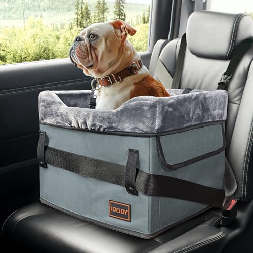 JOEJOY Autositz für kleine Hunde – tragbarer Welpen-Sitzerhöhung für Auto mit Clip-on Sicherheitsleine, verstellbare Gurte, perfekt für kleine Haustiere bis zu 11,3 kg (grau) von JOEJOY