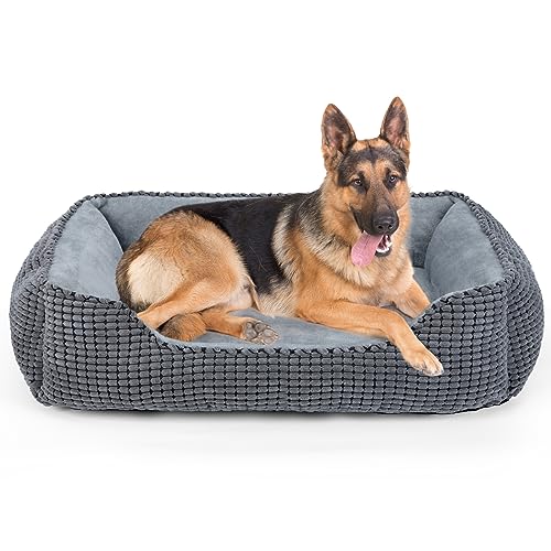JOEJOY Hundebett Grosse Hunde, Hundebett Waschbar Flauschig Hundekorb, Weiche Plüsch-Hundebetten, rutschfeste Hundekörbchen, 106x80x23cm, Hundebett XXL für Grosse Hunde und Katzen JOEJOY Hundebett Grosse Hunde, Hundebett Waschbar Flauschig Hundekorb, Weiche Plüsch-Hundebetten, rutschfeste Hundekörbchen, 106x80x23cm, Hundebett XXL für Grosse Hunde und Katzen von JOEJOY