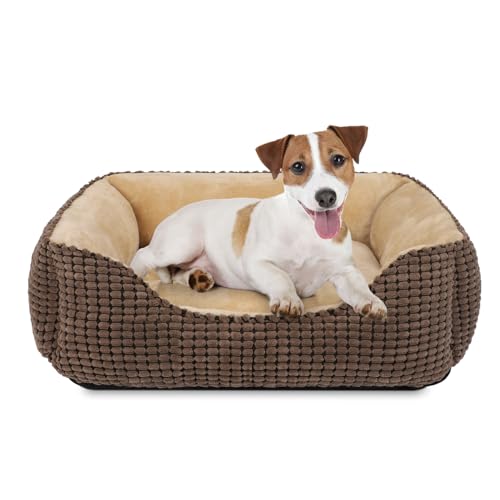 JOEJOY Hundebett Mittelgroße Hunde, Hundebett Waschbar Flauschig Hundekorb, rutschfeste Hundekörbchen, Plüsch Hundebetten, 63x53x20cm, Hundebett für Kleine und Mittlere Hunde und Katzen JOEJOY Hundebett Mittelgroße Hunde, Hundebett Waschbar Flauschig Hundekorb, rutschfeste Hundekörbchen, Plüsch Hundebetten, 63x53x20cm, Hundebett für Kleine und Mittlere Hunde und Katzen von JOEJOY
