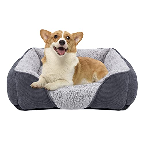 JOEJOY Hundebett Mittelgroße kleine Hunde Hundekorb Waschbar - Flauschig Hundebetten, rutschfest Hundekorb Hundesofa, Kuschelig HundeköRbchen für Hunde und Katzen(M 63×53×20 cm) von JOEJOY