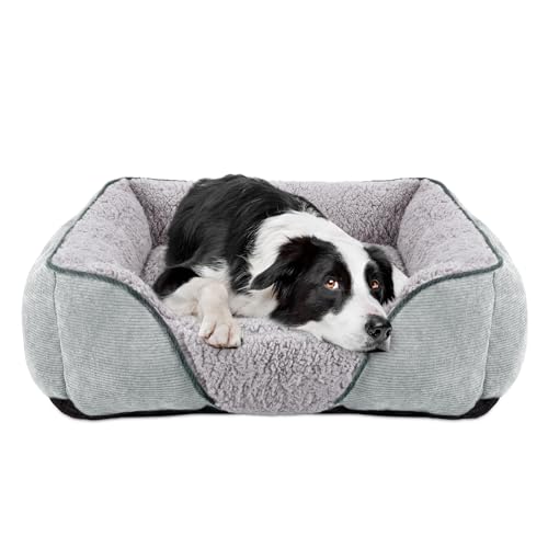 JOEJOY Hundebett Mittelgroße kleine Hunde Hundekorb Waschbar - Flauschig Hundebetten, rutschfest Hundekorb Hundesofa, Kuschelig HundeköRbchen für Hunde und Katzen-Helles Grau(M 63×53×20 cm JOEJOY Hundebett Mittelgroße kleine Hunde Hundekorb Waschbar - Flauschig Hundebetten, rutschfest Hundekorb Hundesofa, Kuschelig HundeköRbchen für Hunde und Katzen-Helles Grau(M 63×53×20 cm von JOEJOY