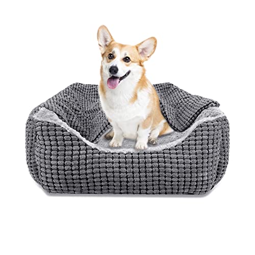 JOEJOY Hundebett Mittelgroße Hunde, Hundekorb mit Herausnehmbar Decke, Hundebetten Cord Flauschiges Waschbar, Rutschfest Hundekörbchen, Hundesofa mit Hohem Rand Passt bis zu 14kg Haustiere(64x53x20cm) von JOEJOY